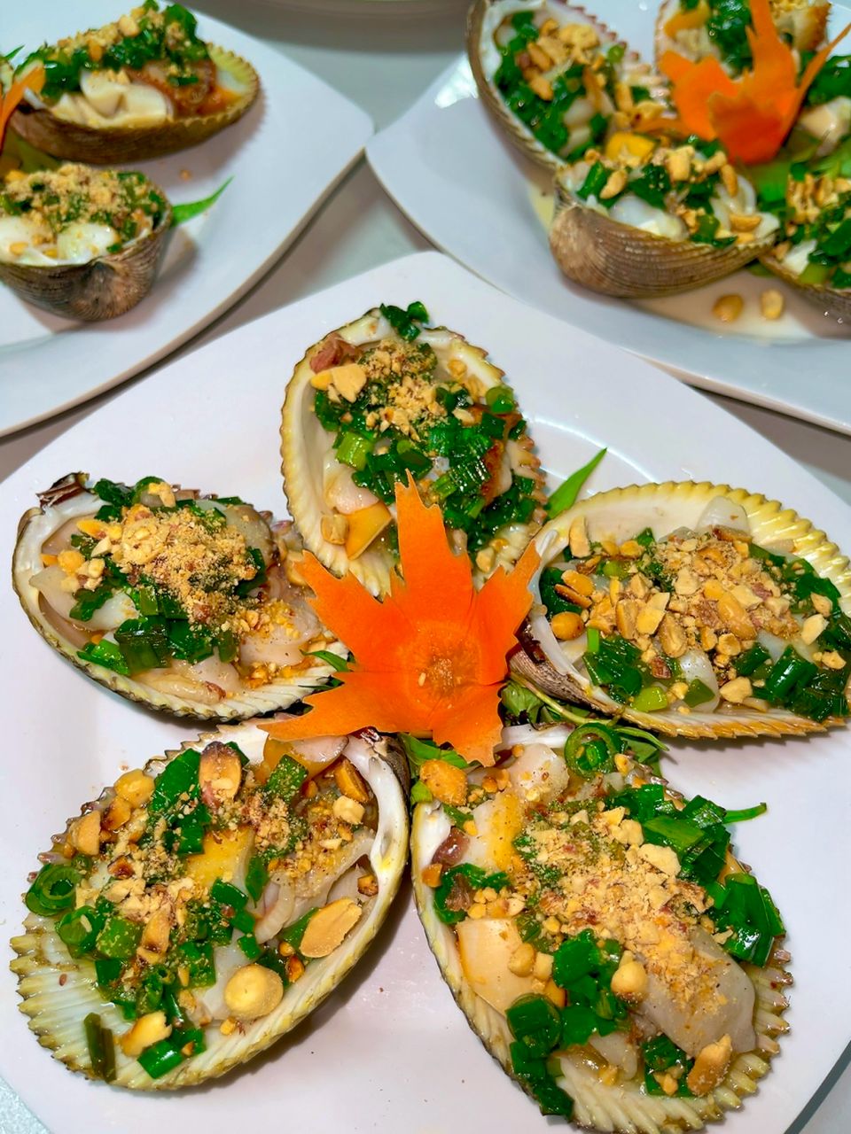 Sở Dương – Sea Shell 海贝